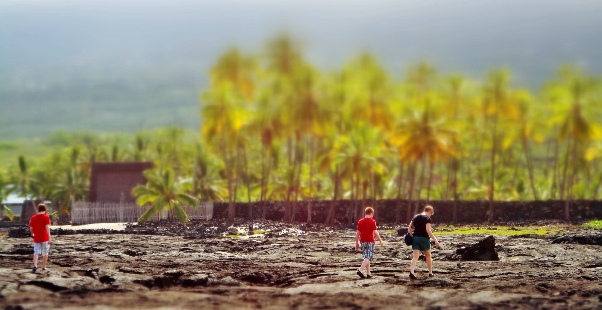 Place of Refuge, Captain Cook, HI
